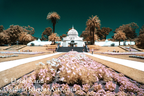 Infrared photo of the San Francisco Conservatory of Flowers